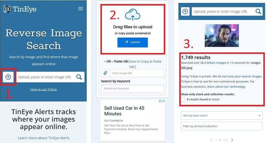 TinEye reverse image search