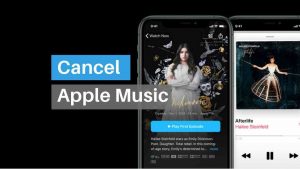 Read more about the article How To Cancel Apple Music Subscription?