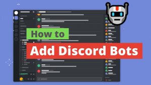 Read more about the article Top 5 Discord Bots [Steps to Add Bots to Discord]