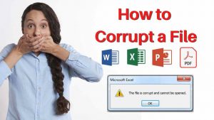 Read more about the article How to Corrupt Word, Excel and PDF Files Online