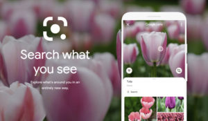 Read more about the article What is Google Lens and How to use it?