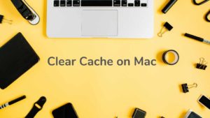 Read more about the article How To Clear Cache On Mac [Safari, Chrome, Firefox]