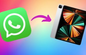 Read more about the article How to Use WhatsApp on iPad